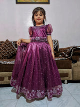 Rare Jimmy-Silk Shining Fabric With Swarovski Work Gown for Kids