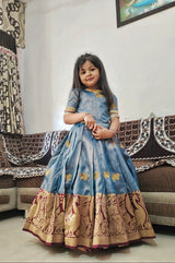 Magestic Pure Soft Silk With Embroidery Butterfly and Bird Work Gown For Kid's