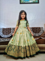 Magestic Pure Soft Silk With Embroidery Butterfly and Bird Work Gown For Kid's